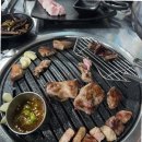 올레에반하다