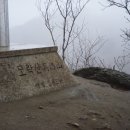 백광 이미지