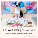 퍼펙트독 | 강아지건강식 도그다이닝 퍼펙트밀 수제화식