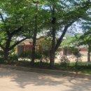 인천부내초등학교 이미지