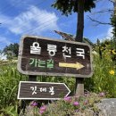울릉천국아트센터 이미지