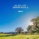 이레발달센터 - 속초시 도리원1길 27-1 | 이레발달센터