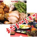 솔매족