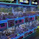 픽픽픽토리 이미지