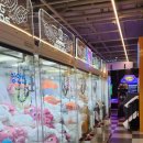 짱오락실 광주첨단점 이미지