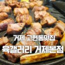 신현농협 고현지점 | 거제 고현동맛집 육갤러리