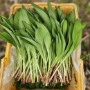 명이농장 이미지