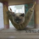보노보노동물병원 이미지