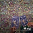 댕냥이살롱 | [제주 가볼만한곳] 댕냥별 : 인형좋아하시면 가기 좋은 서귀포 테마파크 , 제주 실내 액티비티 추천!!