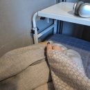 청주나비솔한방병원 | 청주 나비솔 초간단 입원 후기