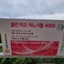 미오미오 | 콜린 미오 이노시톨 후기, 이노시톨로 시작한 데일리 루틴