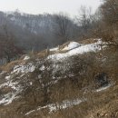 운성부원군묘 이미지