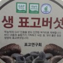 고노골농장 이미지