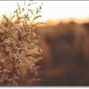 윈치과의원 이미지