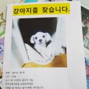 용담킹마트