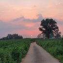 지존목장 이미지