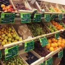 유럽의 저렴한 과일, 채소물가의 비결.jpg 이미지