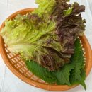 부산횟집 | 🐟 대연동 맛집 남바완 횟집 부산횟집 방문 후기