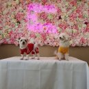 누리,멍's 이미지