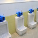 서울길동초등학교 이미지