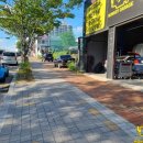 몽키개러지 이미지