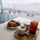 월미도관광안내소 | 인천 월미도 애견동반 카페, 강아지랑 쉬어가기 좋은 월미도레미