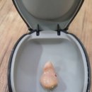 독일렉스톤보청기 의정부점 이미지