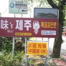 미스돼지 이미지
