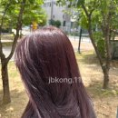 지빈뷰티