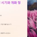 신소양체육공원 | 합천 핑크뮬리! 합천신소양 체육공원 인생샷 명소!