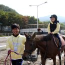 레이크밸리승마클럽 이미지