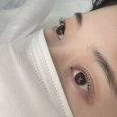 아르빔(ARVIM)