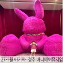 경주바니베어박물관 | 경주 바니베어뮤지엄 관람후기(+아기와 함께)