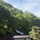 [W5]테오그라피 울산 토탈스튜디오 웨딩 촬영후기