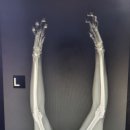 박동물종합병원 이미지