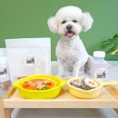 멍뭉한입 이미지