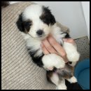 유어라운지 이미지