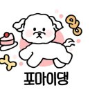포마이댕 네이버블로그