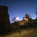 전설의 치킨 가오리점 | 미국 미니애폴리스 (씨라이프/ 몰오브아메리카/ 미니애폴리스 원데이패스/암트랙기차/ 레이징케인스)