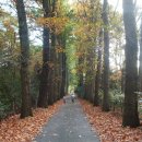 고향이야기 이미지