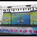 제8회 서천군 자연산 광어 도미 축제 이미지