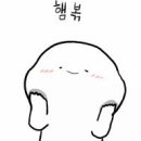 트리더마 이미지