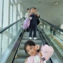 연초부르스 | [여행일기]연말연초 해외에서 보내기 (in 대만)1탄