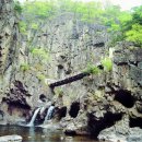 곡강초등학교 이미지