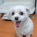덕영대로 1292 이미지