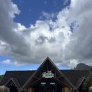 위드카 | 모리셔스 신혼여행 필수코스 카젤라파크 후기 (워킹위드라이언, 에코라이더) 준비물, 팁