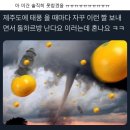 서민포차 이미지