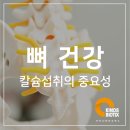 (주)카인즈바이오틱스 이미지