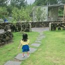 고망돌담 이미지