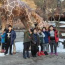 평천초교 이미지